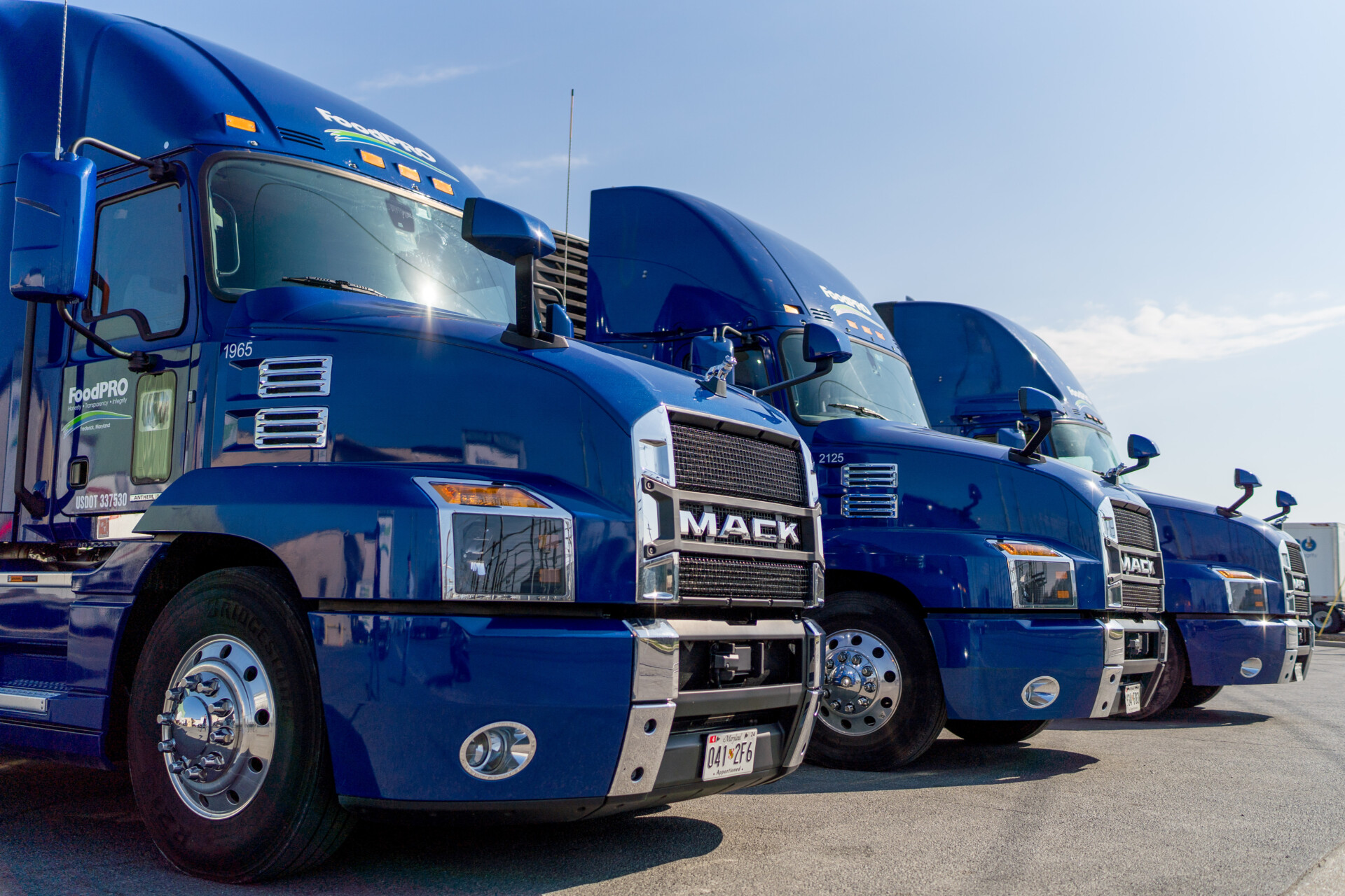 Blue Mack trucks from FoodPRO ready for transport in a sunny, organized fleet.