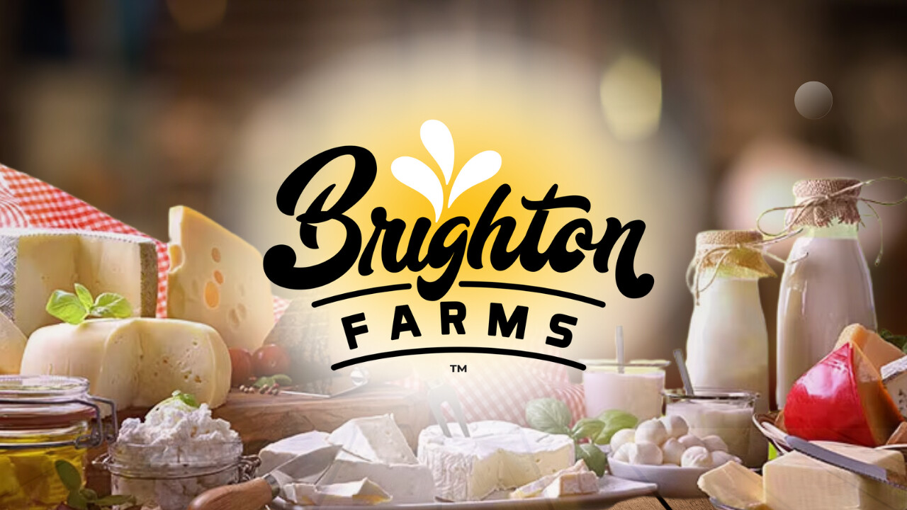 Artisan cheeses from Brighton Farms arranged beautifully with fresh herbs and rustic charm.